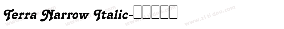Terra Narrow Italic字体转换